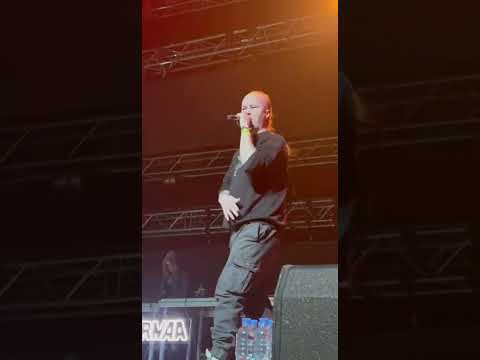 firmaa fest 2023 .. как это было?