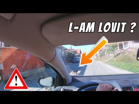 VIZITAM LACUL VIDA - (CarVlog)