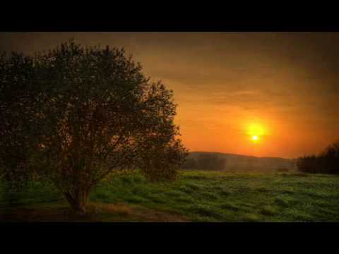 Tiesto Feat. Syntheticsax - I Will Be Here (Michael Witness Summer Mix)