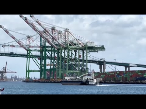 US private payrolls post first drop in more than two years | REUTERS