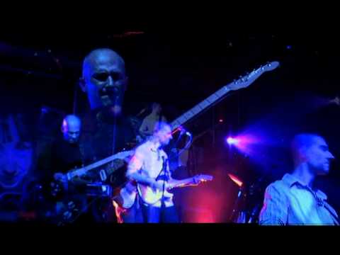 darshan - every colour you are (rain tree crow cover)