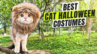 3 BEST Cat Halloween Costumes - Don’t Miss Your Cutest Photos Ever!