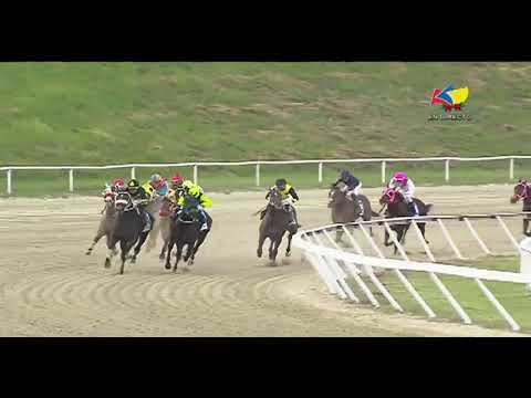 Copa Confraternidad del Caribe  | El De Froix | Hipódromo Internacional La Rinconada | Reunión 50