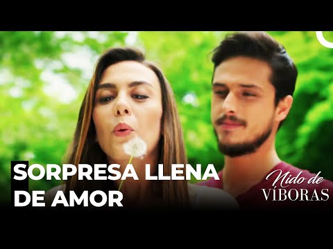 La Sorpresa De Ejder A Nagme - Nido De Víboras