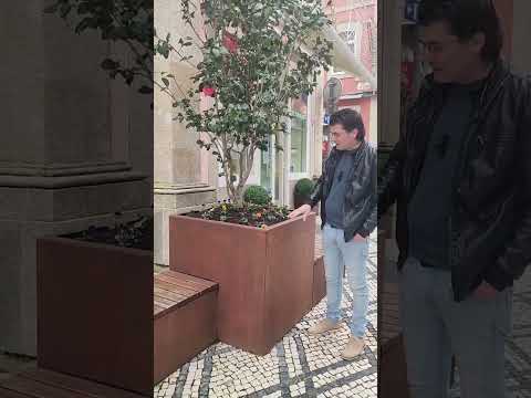 assim sim #albertino #humor #portugal #brasil #tiburcio