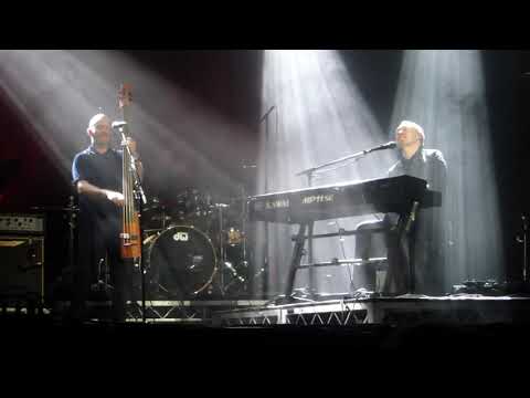 Thumbnail for DAVID GRAY - "This Years Love" - Live @ Bluesfest Byron Bay 2019 by David gray