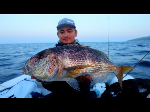 Kako se snaći na nepoznatom terenu. Panula i zoka donose ribu i u najtežim uvjetima...