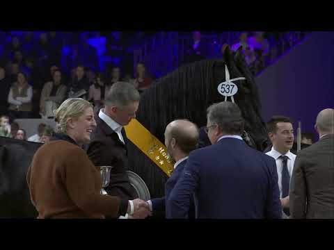 HK 2024   Algemeen kampioenschap