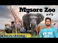 Mysore Zoo Tour In Tamil Karnataka Tourism Vlog Animals Zoo Travel