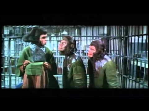 Maymunlar Cehenneminden Kaçış Fragman