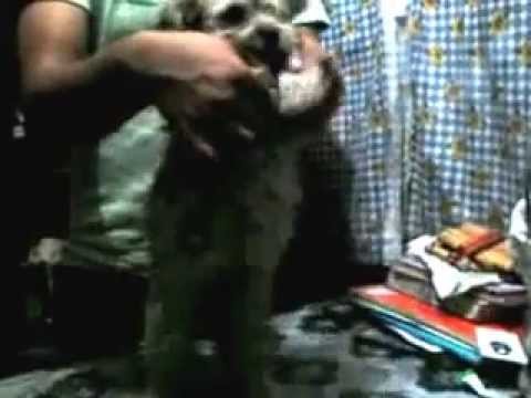 mix combate- IRINA & OSITA