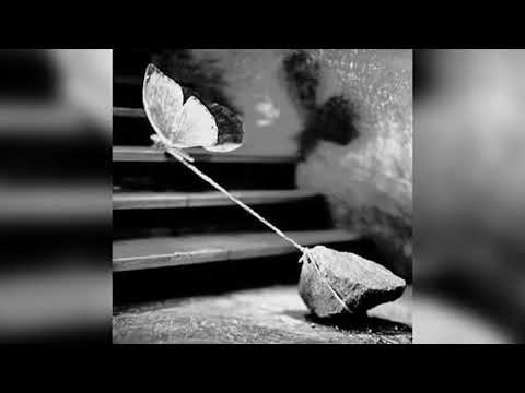 Blessed are those who are persecuted for righteousness' sake, for theirs is the kingdom... - Don ...