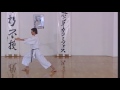 Shotokan Heian Nidan