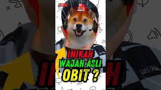 Download lagu TERNYATA INI!! Wajah Asli Obit Si Anjing 🗿 mp3