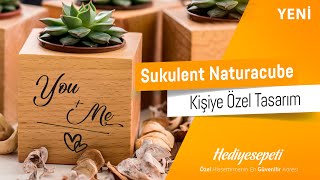 Kişiye Özel Sukulent Naturacube - HediyeSepeti