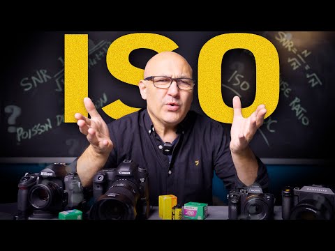 ISO in Photography: The Truth Nobody Explains Properly