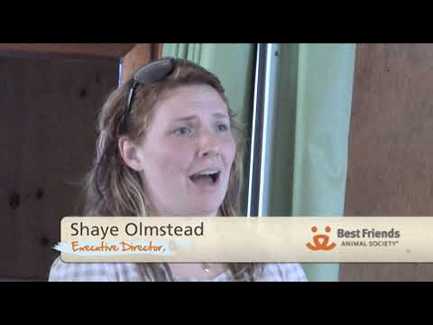 Tangier Island, Virginia 2011 Community Cat TNR Project