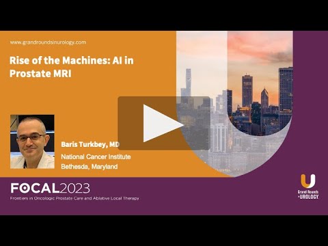 Rise of the Machines: AI in Prostate MRI