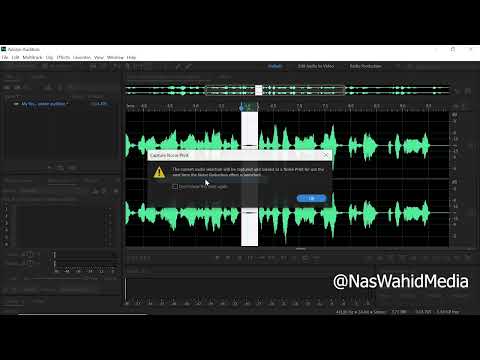Most Simple Tutorial to Adobe Audition | Learn with step by step beginner's guide - Nas Wahid Media