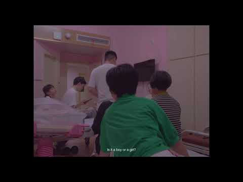 분홍 고치 이야기 About the Pink Cocoon | 다큐픽션 Docufiction | 17TH DMZ Docs Trailer
