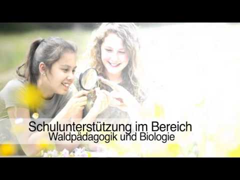 Jagdausbildung Jagdkurse in Munster, Örtze