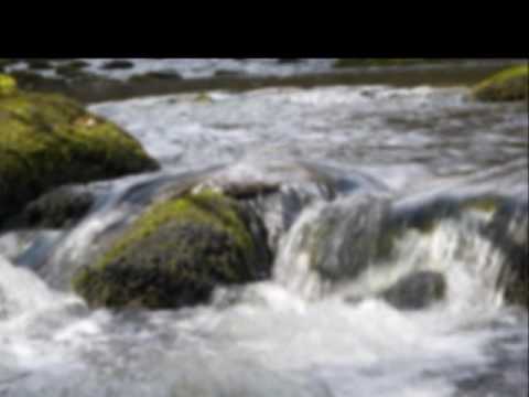 Mala Gasakin Wen Wunama