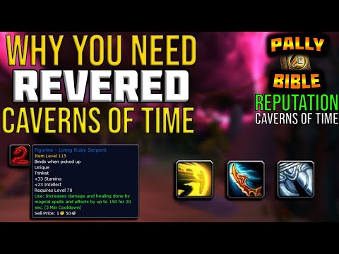 Prot Paladin Pre Bis From Caverns of Time Reputation