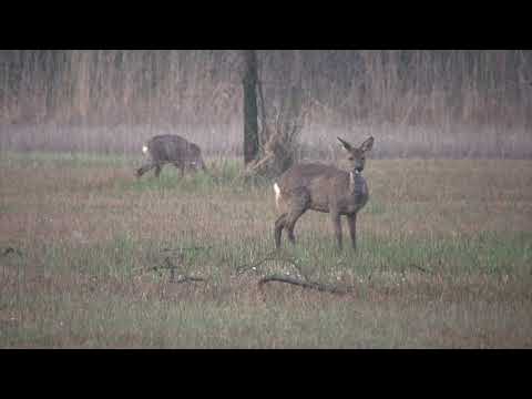 EKKES KIEEEKE IEN DE BRUUUK...