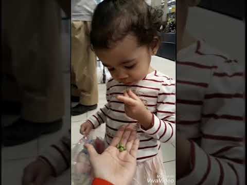 Raheemah's vlog ( she luv much eating fresh green peas)