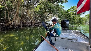What Makes Me Happy | Harvesting Our Food | Natural Spring - Key West, FL