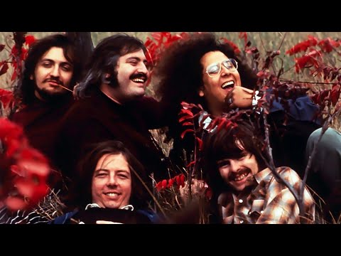 Turtles - Happy Together (1967) STEREO