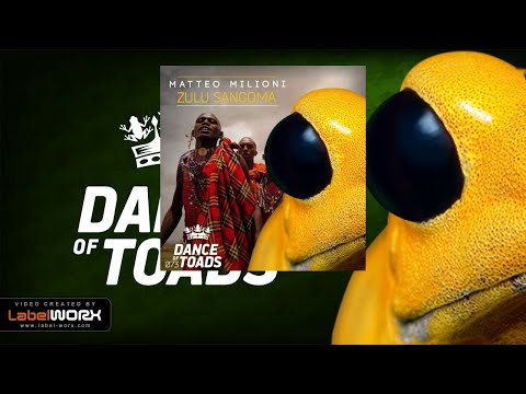 Matteo Milioni - Zulu Sangoma (Radio Edit)