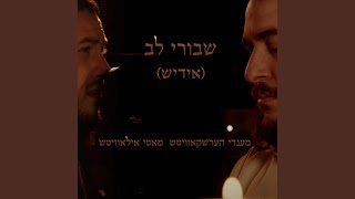 שוורי לב יידיש