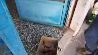 POISONED BAITS FOR HUNTERS DOGS