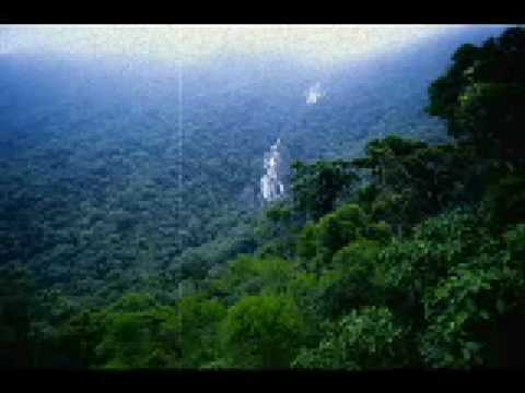 Amazonia Techno - Phil moon aka V°