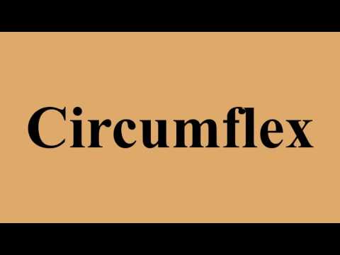 Circumflex