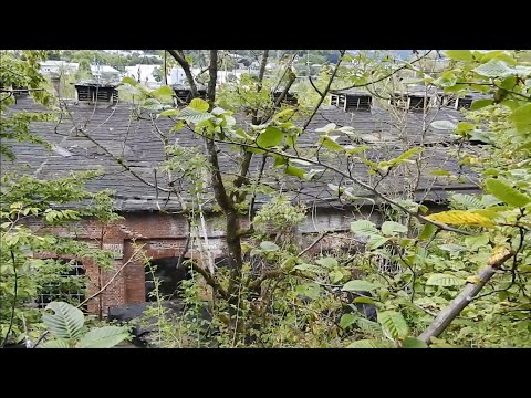 LostPlace Bahnbetriebswerk mit Ringlokschuppen und Bunker ! Urbex Germany 🇩🇪 · verlassene Orte 2021