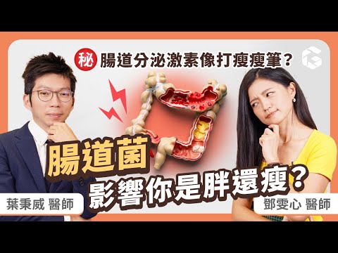 腸道菌影響你是胖還瘦？研究發現：瘦子腸道藏這關鍵！