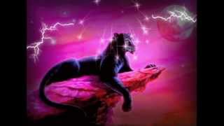 TE VAS ACORDAR DE MI