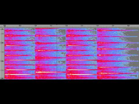 Four tones that are acoustically consonant
