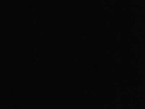 Perros y gatas (dime si te gusta ) alberto style