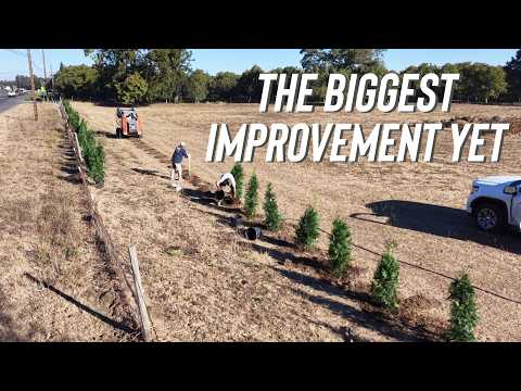 Planting A 400ft Long Living Privacy WALL!