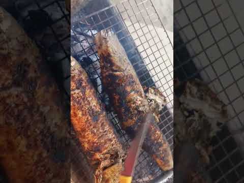 cá lóc đồng nướng mỡ hành thơm ngon  #calocnuong