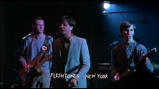 The Fleshtones - Shadow Line (HQ) Live