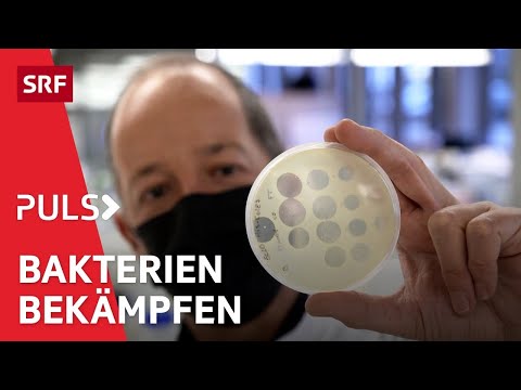 Gefahr durch resistente Bakterien – Was, wenn Antibiotika ihre Wirkung verlieren | Puls | SRF Wissen