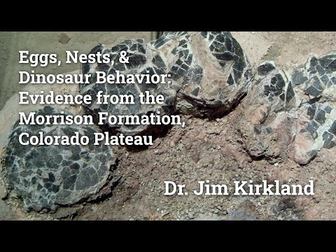 Eggs, Nests, and Dinosaur Behavior: Evidence from the Morrison Formation, Colorado Plateau