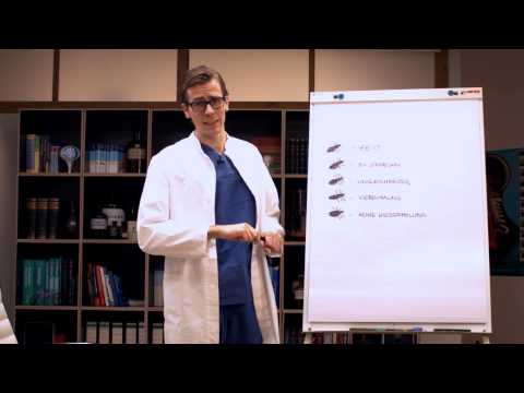 Fünf Tipps zur Behandlung von Kopfläusen