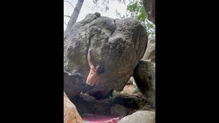 Video thumbnail of Zip, 8a. Fontainebleau