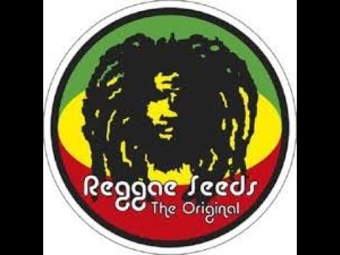 REGGAE ROOTS ONE HOUR PART 2