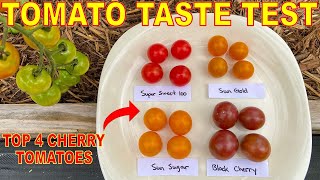 We Taste Tested The TOP 4 Cherry Tomato Varieties YOU Recommended: Here Are The Results!